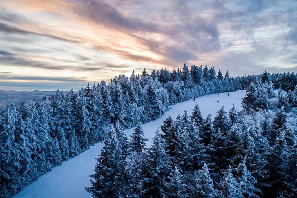 Mountain Lodge Getaway, Ski-In/Ski-Out, Heart Of The Village Сноушу Екстер'єр фото